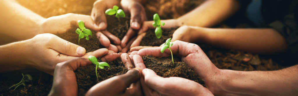 LT Sustainability