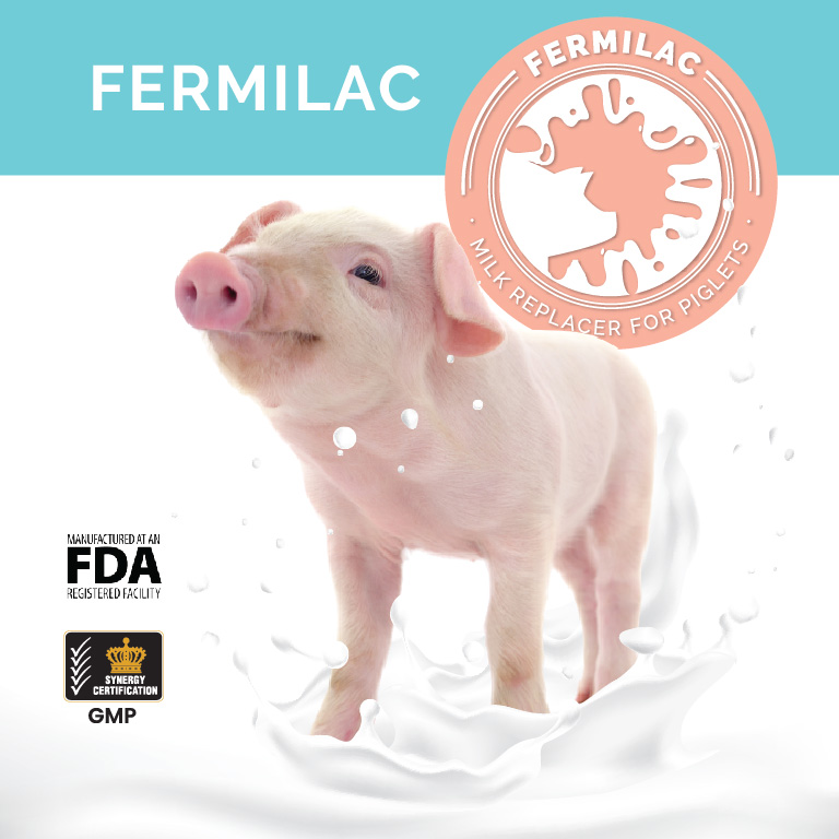 Fermilac Lam Tak's Milk Replacer for Piglets