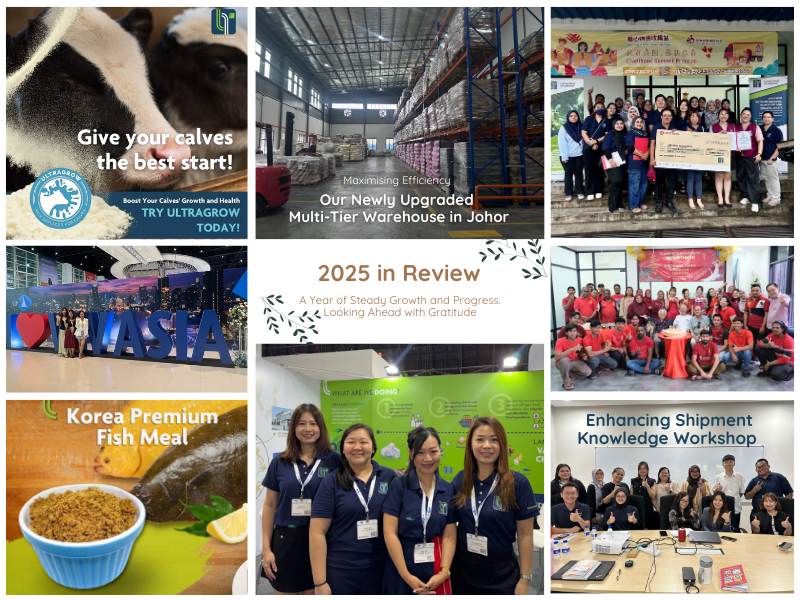 2025 in Review By Lam Tak