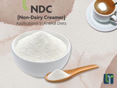 NDC